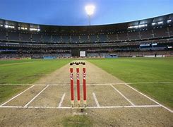 Image result for Image of Cricket Pitch