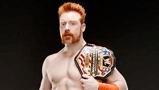 Image result for Sheamus WWE Championship