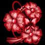 Image result for Rose Artwork