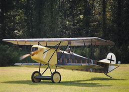 Image result for Jasta 7 Fokker D VII