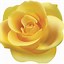 Image result for Red and Yellow Rose Logo Clip Art