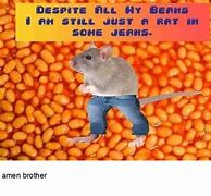 Image result for Daily Fresh Memes