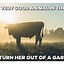 Image result for Cow Age App Meme