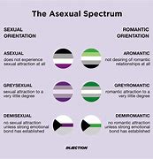 Image result for Aromantic vs Asexual