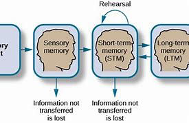 Image result for Memory Identity