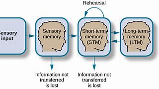 Image result for How Memory Works Book