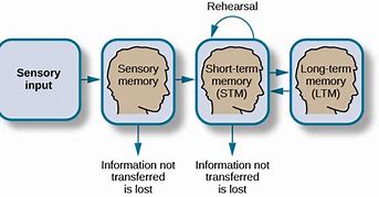 Image result for Memory Identity Theory