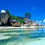 Image result for Tropical Beach Wallpaper