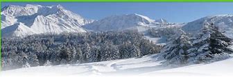Image result for Mont Blanc Skiing