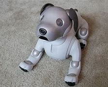 Image result for Aibo Icon
