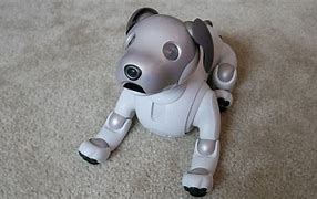 Image result for Aibo Decorations