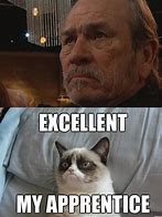 Image result for Grumpy Cat Memes Work