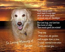 Image result for Dead Dog Quotes