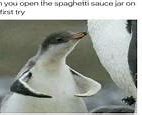 Image result for Wingless Bird Meme