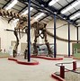 Image result for Which Dinosur Was the Largest On Earth