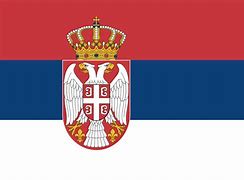 Image result for Srebia Flag