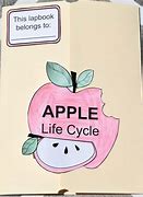 Image result for Apple Life Cycle Printable Book