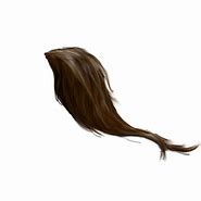 Image result for Horse Tail Cartoon