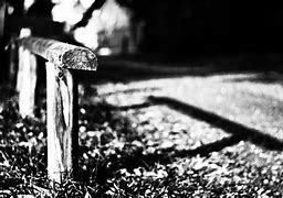 Image result for Black and White Noir Photography