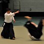 Image result for Aikido Demonstration