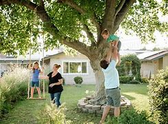 Image result for Stock-Photo Family Playing in Yard