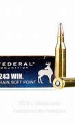 Image result for Looking for 243 Ammo
