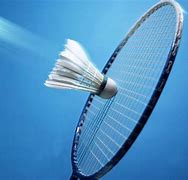 Image result for badminton