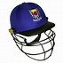 Image result for Masuri Custom Cricket Helmet