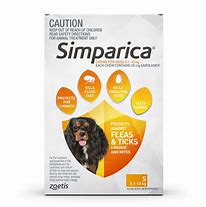 Image result for Best Flea and Tick Pills for Dogs