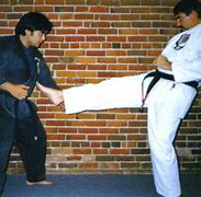 Image result for Martial Arts Striking Stone