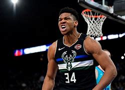 Image result for Giannis Antikoupo