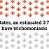Image result for Trichomonase