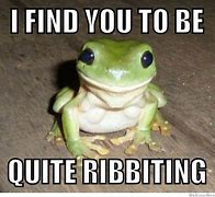 Image result for Tree Frog Meme