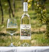 Image result for Lakeshore Cayuga White Dry
