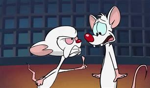Image result for Pinky and Brain Covid Meme