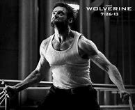 Image result for Wolverine Book Meme