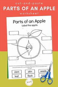Image result for Parts of the Apple Free Print Out