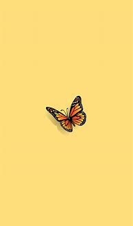 Image result for Aesthetic Simple Butterfly Wallpaper