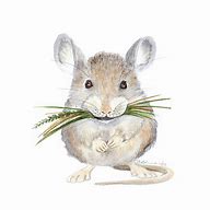 Image result for Cute Mice Paintings