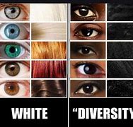 Image result for Diversity Colors Meme