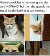 Image result for Humorous Memes for Today