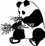 Image result for Panda Bear Black and White