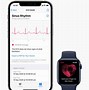 Image result for Series 6 Apple Watch ECG