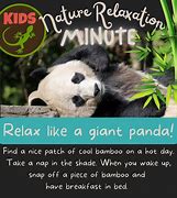 Image result for Giant Panda Threats