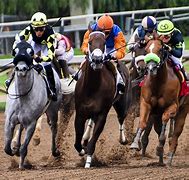 Image result for Horse Racing Triple Crown Trophy