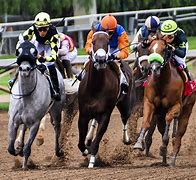 Image result for Horse Racing Pictures Free