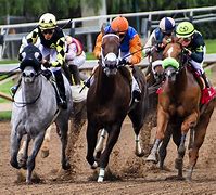 Image result for Race Horse Running