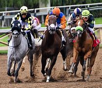 Image result for Pictures of Race Horses