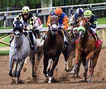 Image result for Horse Race HD