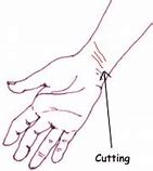 Image result for Cutting List